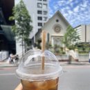 (주)네추럴브릿지 | 여행 ✈ 일정/경비 🇦🇺 DAY3ㅣ탬보린마운틴(호주 반딧불이&갤러리워크)+스프링브룩(네추럴브릿지&열대우림)
