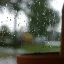 빗소리 이미지