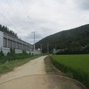 삼본농장 이미지