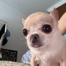 신림역 8번출구 앞 | 신림역 8번 출구 김밥천국 김밥맛집 내돈내산 후기