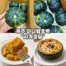 제주포슬 | [제주 미니밤호박 추천-사계절담] 달콤하고 포슬포슬한 제주 미니밤호박 후기