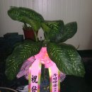 우림약품 이미지