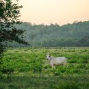 부식농장 이미지
