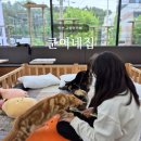 쿤이네집 이미지