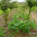 갯벌농장 이미지