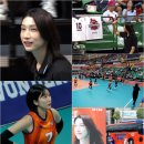 김연경 카카오 검색결과