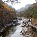 오대산주유소 이미지