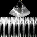 순풍동물병원 이미지