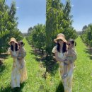 정양농장 이미지