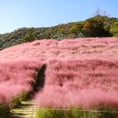 정읍사공원 이미지