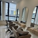 빈센트 헤어 이미지