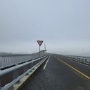 강정고령보 | 산책하기 좋은길~~강정고령보