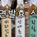 이엠사랑
