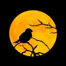 일영무두리캠핑장 | 서울 은평구 일영무두리캠핑장, 후기, 연락처, 리뷰