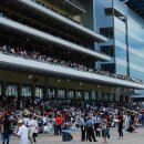 경마장가는길 이미지