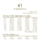 파리봉강아지미용실 이미지