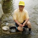 숲속의 계곡 이미지