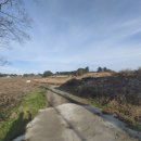 어음2리마을 이미지