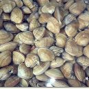 갈미1로 이미지