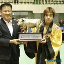 군민회관(체육경기) 이미지