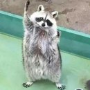 구운통닭 - 전주시 완산구 당산로 27 | 구운통닭
