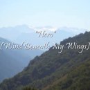 wind beneath my wings 이미지