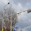 조영무선생 묘역 이미지