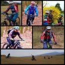 천마목장 이미지