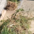 광산구-018 이미지