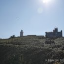양남여관 네이버블로그