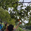 울산바다독채펜션 | 가족행사 장소로 강추💚 울산독채펜션 ‘지극히개인적인산장’ 후기