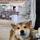 내기새싹길 이미지