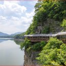 단양군보건소(개방) 이미지