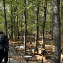 수리산산림욕장 이미지