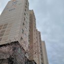 선운해광 이미지