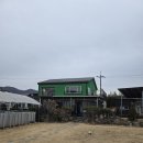 미스터샤크유도짐 이미지