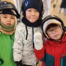 포천검도관 | [26년 포천검도관 겨울스키캠프 후기]