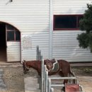 쌍화펜션 이미지