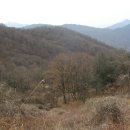 성산농원 이미지