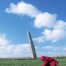 압해 동서리 선돌 이미지