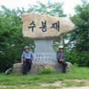 노류마을 Daum카페
