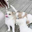 영로재한옥스테이