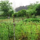 우산공원길 이미지