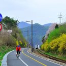 경춘선 자전거도로6 이미지