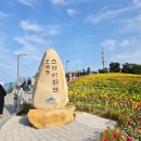 바다풍경(오륙도) | 부산 수선화 명소 오륙도 해맞이 공원 - 바다 뷰 봄꽃 나들이 후기