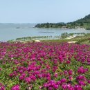 피우다 - 용산구 신흥로 33 | 피우다