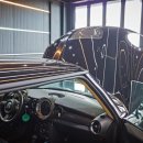 마이온게러지 이미지