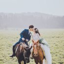 태영목장2 이미지