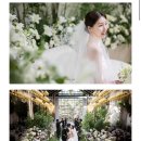 포레아벨 | Wedding. [서브스냅] ღ 화이트포레 예약후기