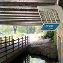 원천리천 이미지